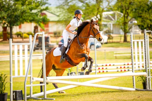 horse jumping at whittlesea show